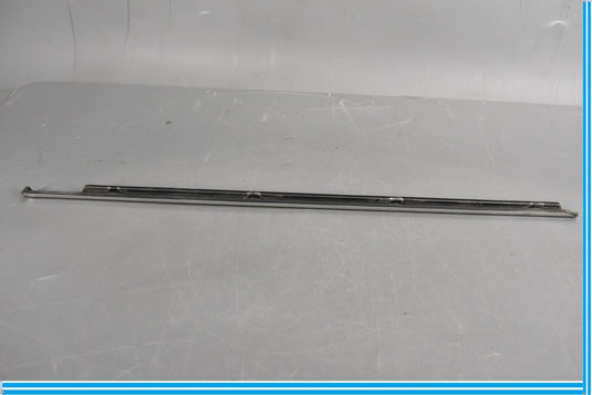 00-06 Mercedes S500 S600 W220 Front Left Driver Door Rub Strip Molding Oem