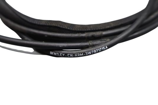 07-18 Bentley Continental GT Rear Right Passenger Side Flap Black Oem