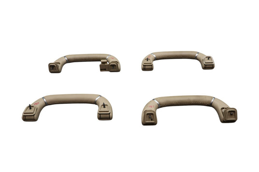 11-13 Hyundai Equus Right & Left Side Interior Roof Bar Grab Handle Set Oem