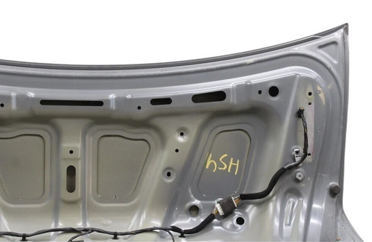 11-16 Hyundai Equus SIG Rear Trunk Lid Tailgate Cover Panel Assembly Silver Oem