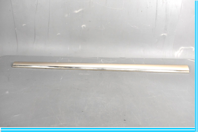 00-06 Mercedes S500 S600 W220 Front Right Passenger Door Rub Strip Molding Oem