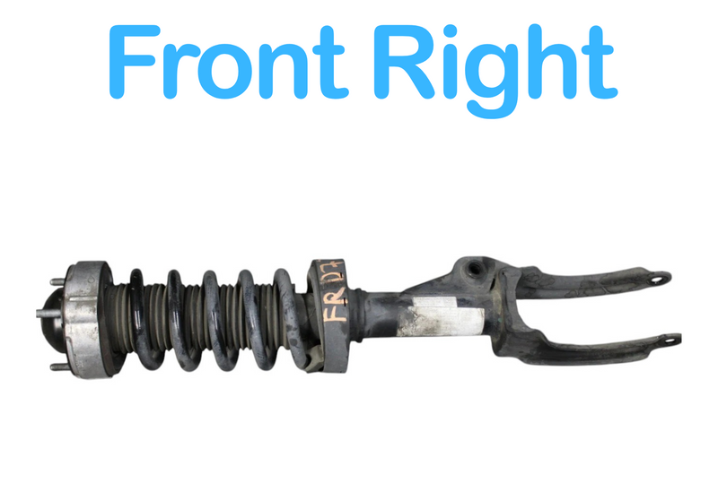 Load image into Gallery viewer, 11-13 Volkswagen VW Touareg Front Right Side Suspension Shock Strut Absorber Oem
