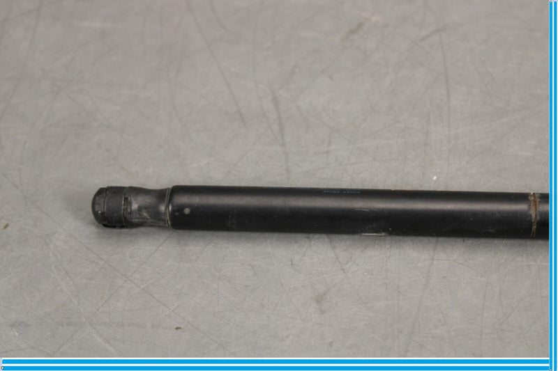 Load image into Gallery viewer, 04-12 Bentley Continental Right Passenger Side Boot Lid Suspension Struts Oem
