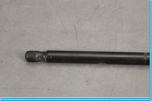 04-12 Bentley Continental Right Passenger Side Boot Lid Suspension Struts Oem