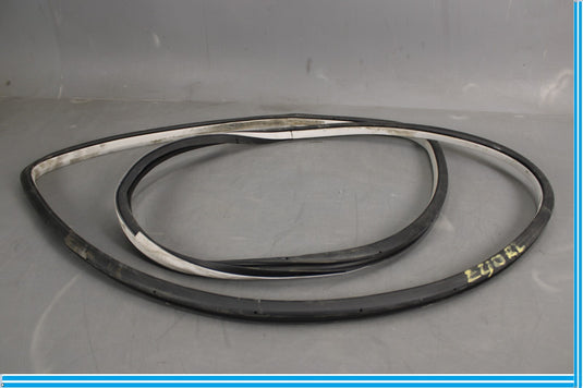 11-20 Infiniti QX56 QX80 Rear Left Side Door Window Weather Strip Seal Oem