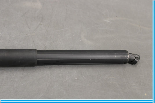 07-12 Mercedes X164 GL550 GL450 Rear Left Side Trunk Tailgate Shock Strut Oem