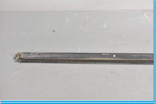 00-06 Mercedes S500 S600 W220 Front Left Driver Door Rub Strip Molding Oem