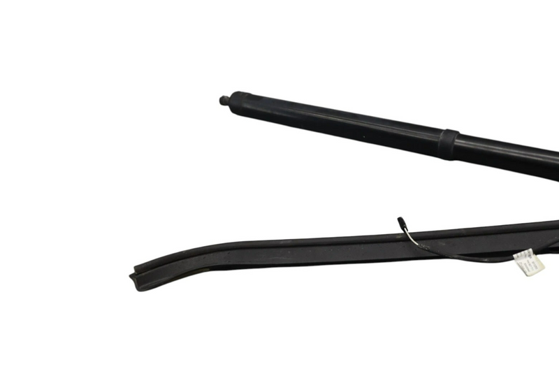 Load image into Gallery viewer, 11-18 Volkswagen Touareg Rear Left Trunk Lift Cylinder Support Shock Strut Oem
