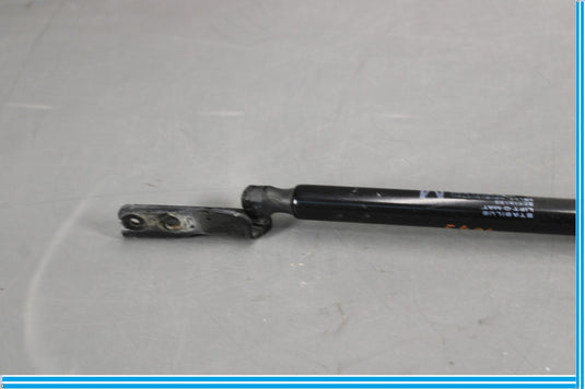 11-17 Infiniti QX56 QX80 Right Passenger Side Lift Supports Tailgate Struts Oem