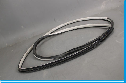 11-20 Infiniti QX56 QX80 Rear Left Side Door Window Weather Strip Seal Oem