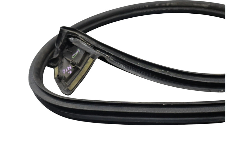 Load image into Gallery viewer, 02-05 Ford Thunderbird Left Driver Side Door Seal Rubber 1W63762070B OEM
