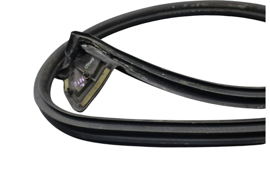 02-05 Ford Thunderbird Left Driver Side Door Seal Rubber 1W63762070B OEM