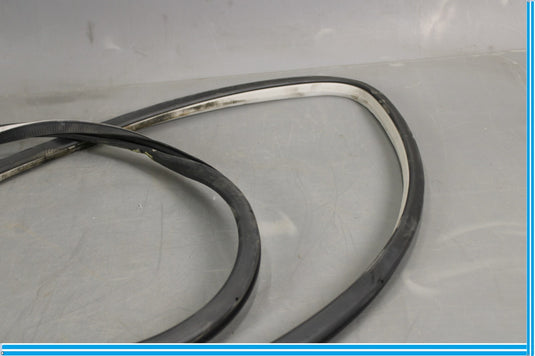 11-20 Infiniti QX56 QX80 Rear Right Side Door Window Weather Strip Seal Oem