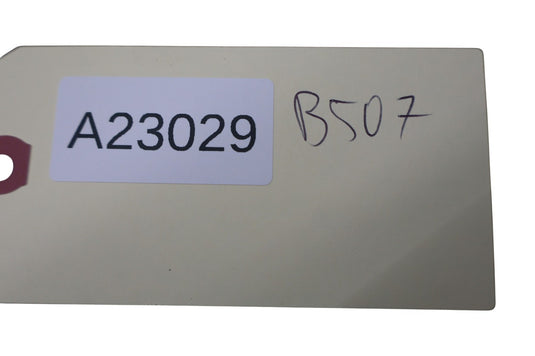 06-11 Lexus GS350 GS430 Left & Right Side Overhead Roof Grab Bar Handle Oem
