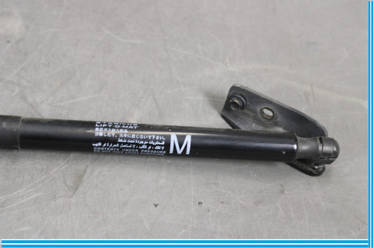 11-17 Infiniti QX56 QX80 Right Passenger Side Lift Supports Tailgate Struts Oem