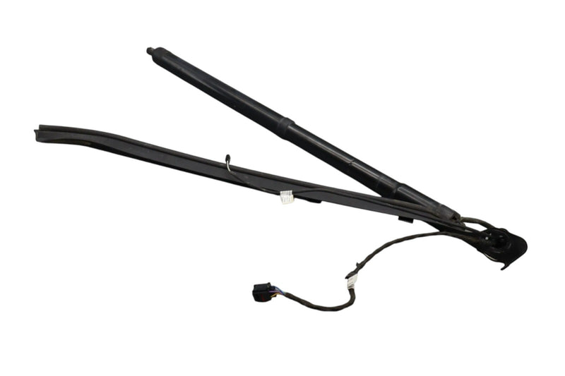 Load image into Gallery viewer, 11-18 Volkswagen Touareg Rear Left Trunk Lift Cylinder Support Shock Strut Oem
