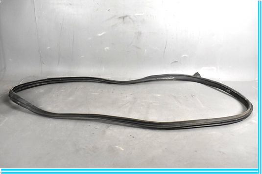 12-18 Mercedes CLS550 W219 Front Right Passenger Door Whether Strip Seal Oem