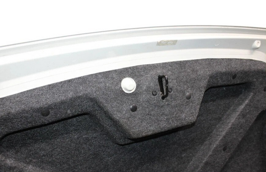 02-05 Ford Thunderbird Front Hood Bonnet Cover Panel Assembly 1W637640110 Oem