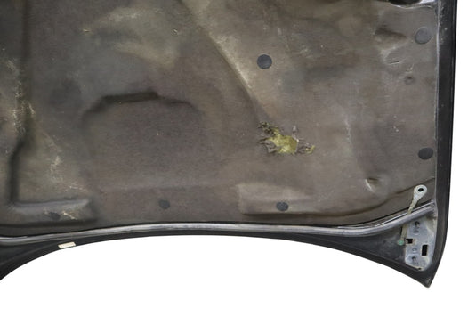 02-05 Ford Thunderbird 3.9L V8 Front Hood Bonnet Cover Shell Panel Assembly Oem