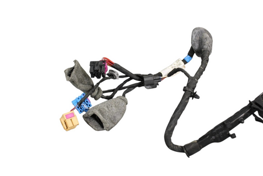 06-12 Bentley Continental Rear Right Side Door Wire Wiring Harness Loom Oem