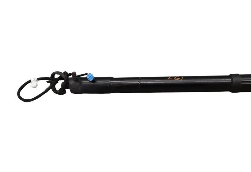 Load image into Gallery viewer, 10-16 Porsche Panamera 970 Rear Left Side Trunk Lid Shock Lift Support Strut Oem
