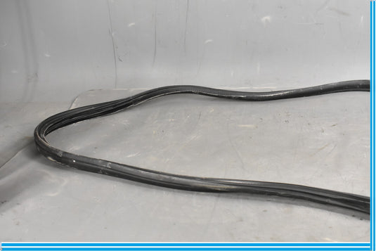 12-18 Mercedes CLS550 W219 Front Right Passenger Door Whether Strip Seal Oem