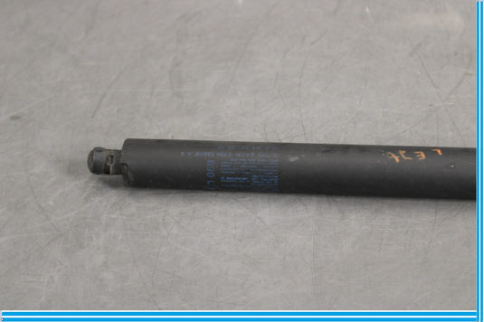 07-12 Mercedes X164 GL550 GL450 Rear Left Side Trunk Tailgate Shock Strut Oem