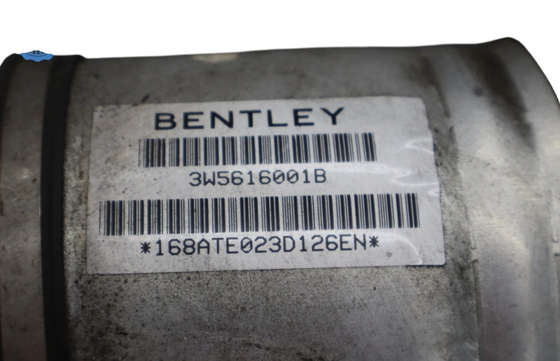 Load image into Gallery viewer, 06-12 Bentley Continental Rear Left Air Suspension Shock Strut 3W5616001B Oem
