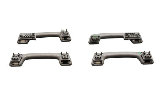 10-17 BMW 535i 535XI GT 550i GT Front & Rear Interior Roof Grab Handle Oem