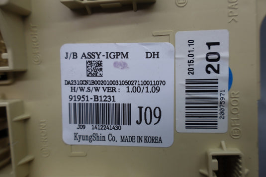 14-16 Hyundai Genesis G80 Dash Fuse Box Relay Junction Block 91951B1231 Oem