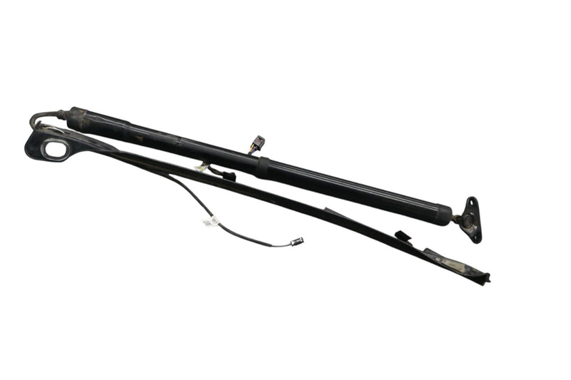 Load image into Gallery viewer, 11-17 Volkswagen Touareg Rear Left Trunk Lift Cylinder Support Shock Strut Oem
