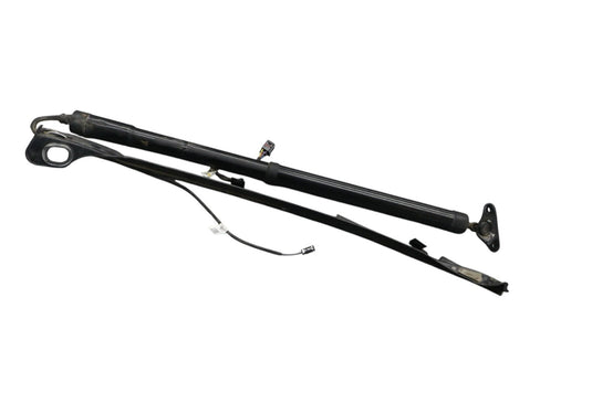 11-17 Volkswagen Touareg Rear Left Trunk Lift Cylinder Support Shock Strut Oem