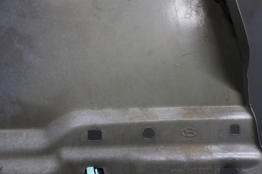 15-20 Hyundai Genesis Front Right Passenger Fender Shell Cover Panel Oem