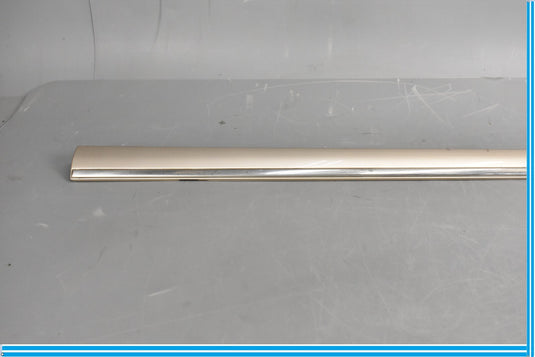00-06 Mercedes S500 S600 W220 Front Left Driver Exterior Door Trim Molding Oem
