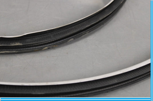 11-20 Infiniti QX56 QX80 Rear Right Side Door Window Weather Strip Seal Oem
