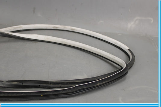11-20 Infiniti QX56 QX80 Rear Left Side Door Window Weather Strip Seal Oem