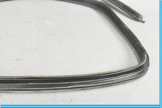 09-13 Maserati Quattroporte M139 Rear Left Door Weatherstrip Rubber Seal Oem