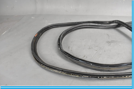 18-20 Jaguar E-Pace Rear Right Passenger Door Body Weatherstrip Seal Oem