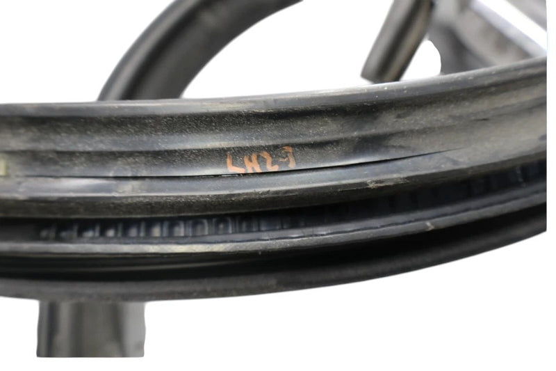 Load image into Gallery viewer, 03-10 Bentley Continental Left Driver Side Lower Door Seal Rubber Oem
