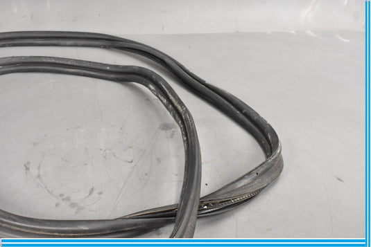 18-20 Jaguar E-Pace Rear Right Passenger Door Body Weatherstrip Seal Oem