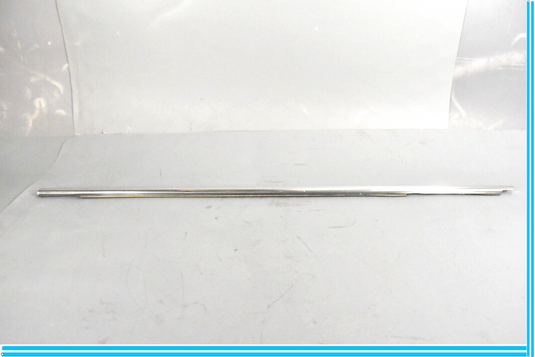 11-18 Porsche CAYENNE Front Left Driver Door Weather Strip Molding Oem