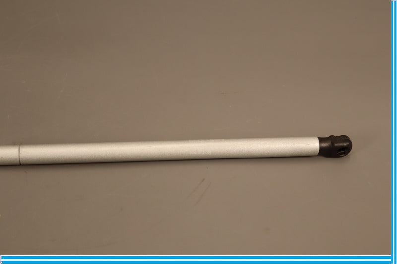 Load image into Gallery viewer, 07-15 Jaguar XK XKR X150 Left Or Right Hood Bonnet Lid Strut Shock Oem
