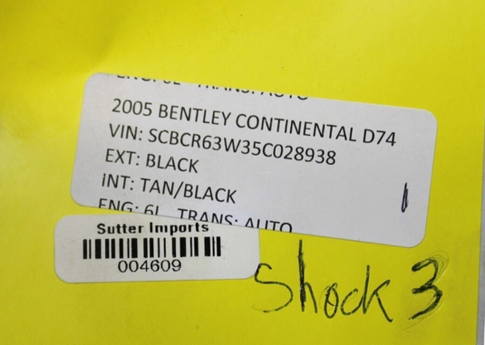03-10 Bentley Continental Rear Left Driver Air Ride Air Shock Strut Absorber Oem