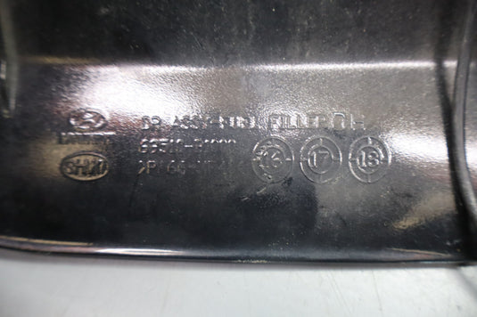 15-20 Hyundai Genesis Fuel Gas Tank Door Lid Pocket Cover 69510B1000 Oem