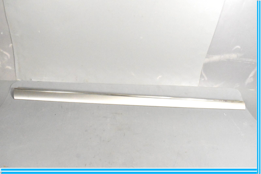 00-06 Mercedes CL500 CL55 AMG W215 Right Door Molding Trim 2156900862 Oem