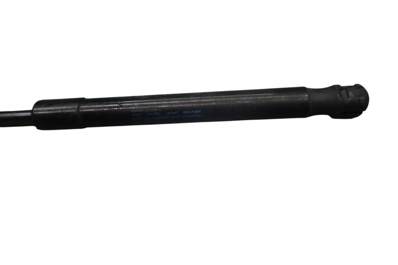 Load image into Gallery viewer, 12-18 Audi  A6 A7 Quattro Engine Bonnet Gas Charged Hood Strut Lift Support Oem
