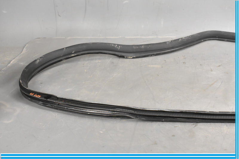 Load image into Gallery viewer, 12-18 Mercedes CLS550 W219 Rear Right Passenger Door Whether Strip Seal Oem
