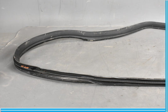 12-18 Mercedes CLS550 W219 Rear Right Passenger Door Whether Strip Seal Oem