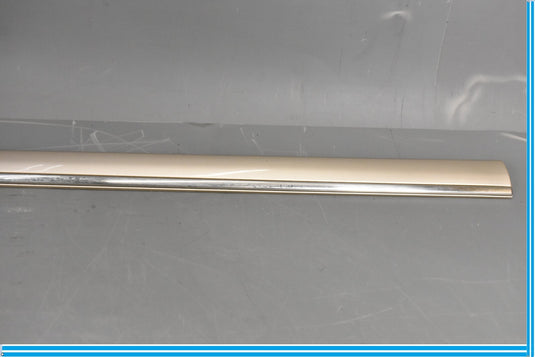 00-06 Mercedes S500 S600 W220 Front Right Passenger Door Rub Strip Molding Oem