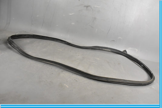 12-18 Mercedes CLS550 W219 Front Right Passenger Door Whether Strip Seal Oem